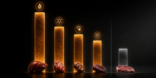 Nutrient Content of Organ Meat vs Muscle Meat