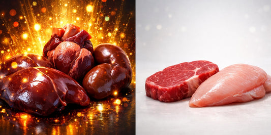 Nutrient Content of Organ Meat vs Muscle Meat