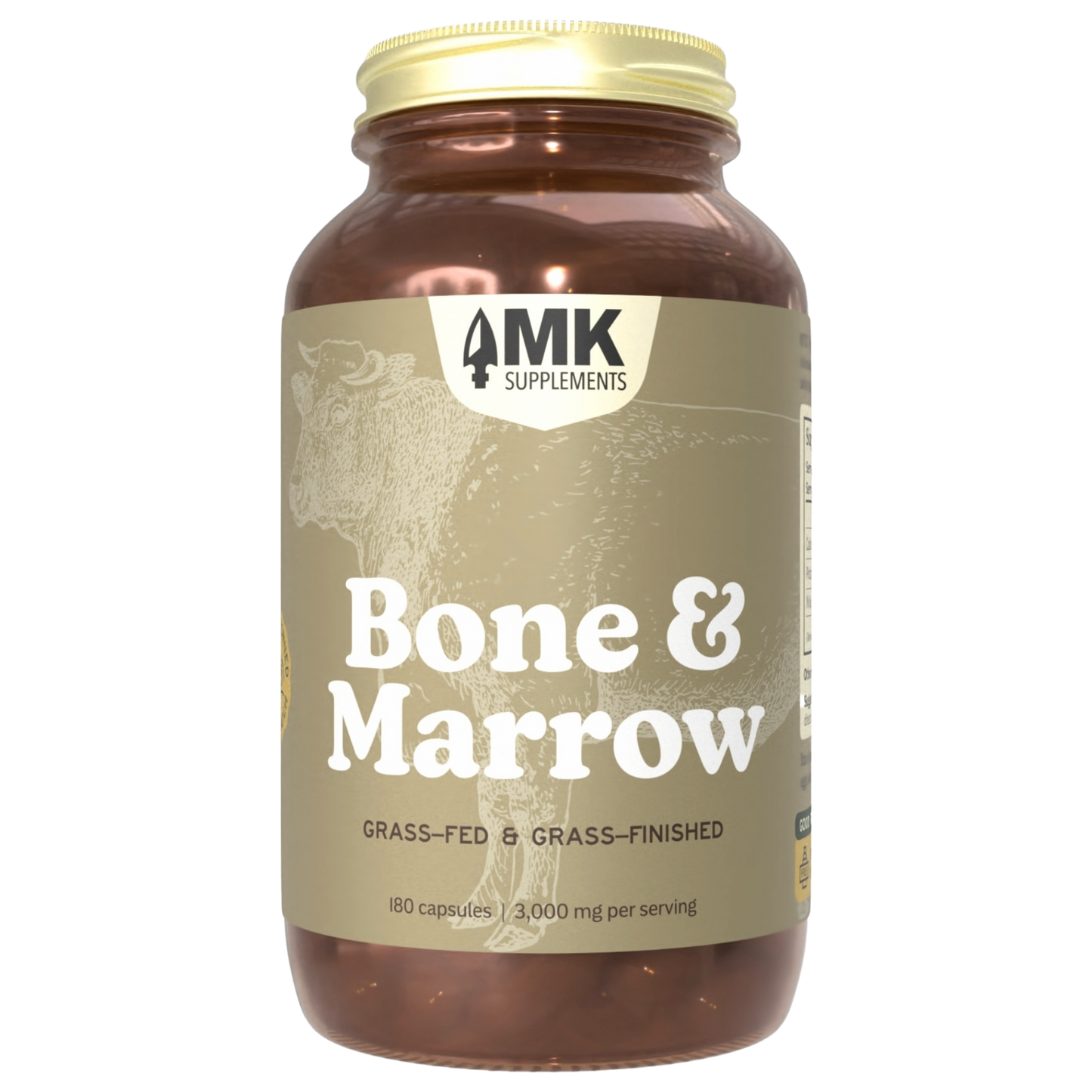 Bone & Marrow