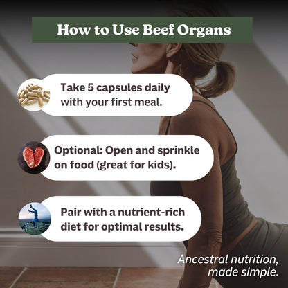 Beef Organs