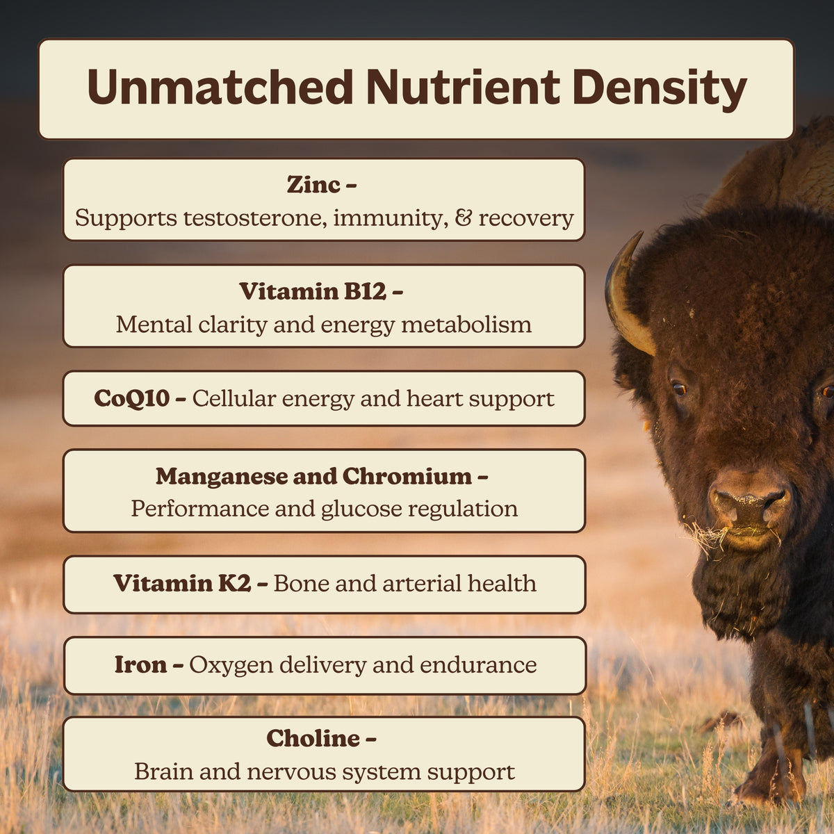 American Beast – Grass-Fed Bison Organs Supplement for Strength ...