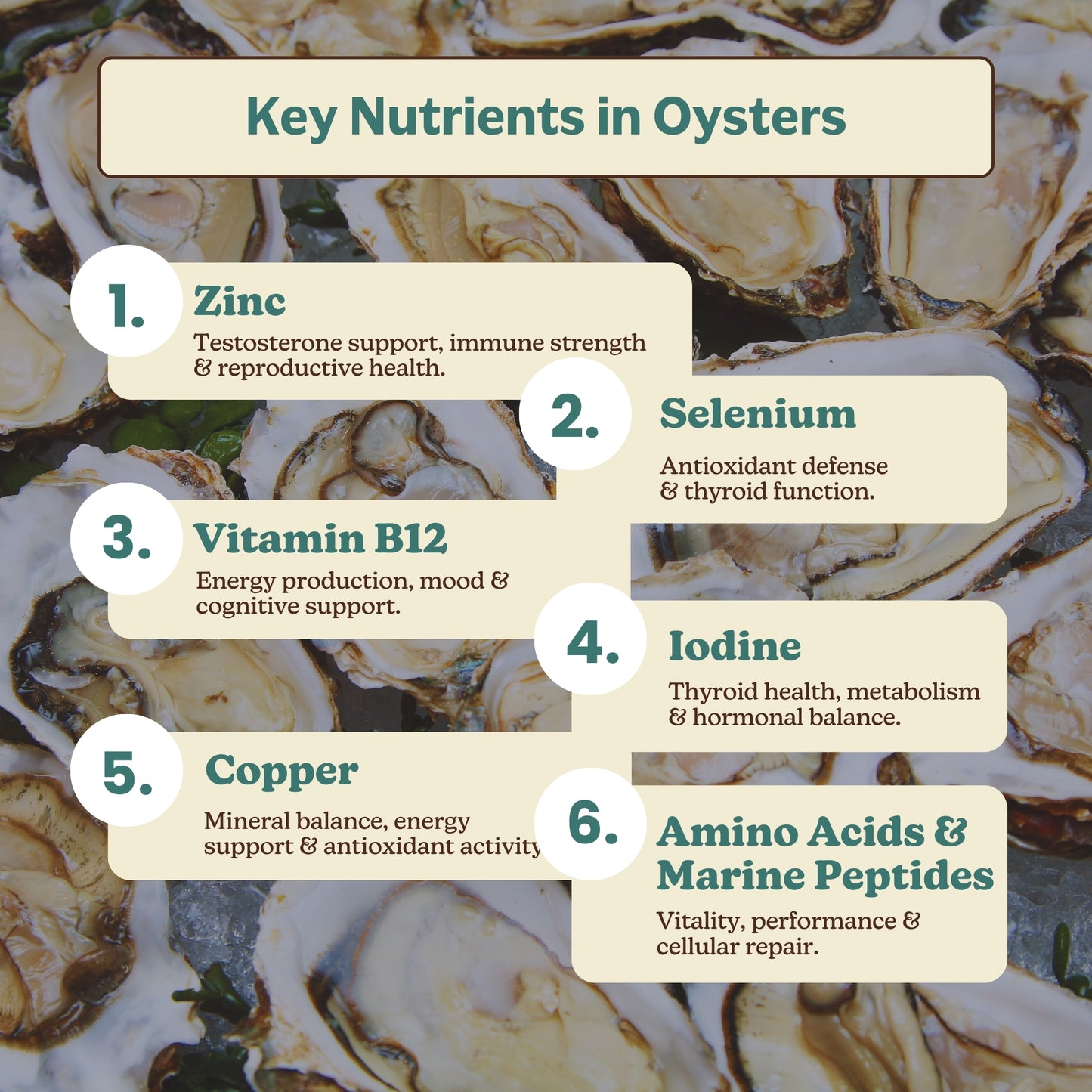 Oyster Extract