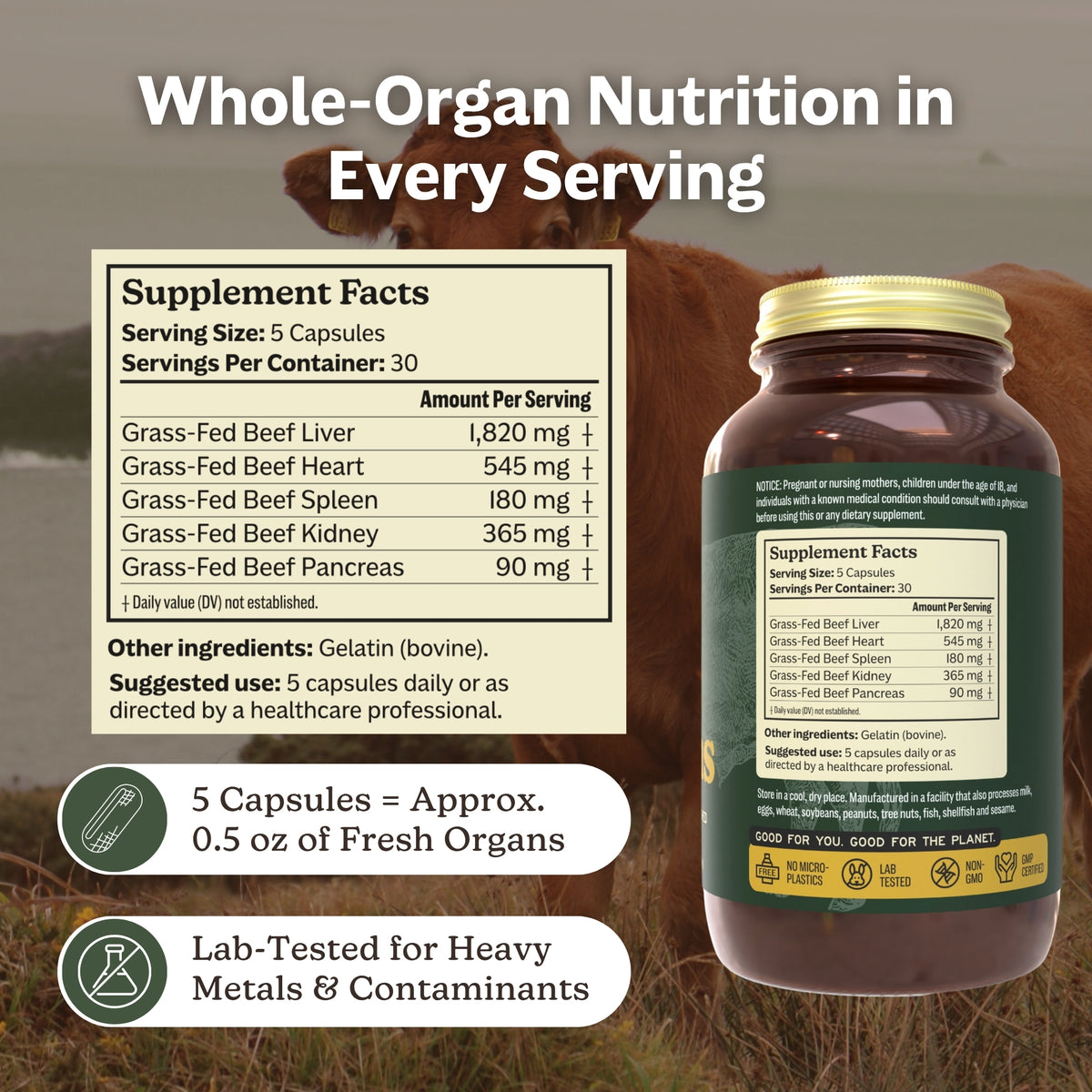 100% Grass-Fed Beef Organ Supplement | MK Supplements