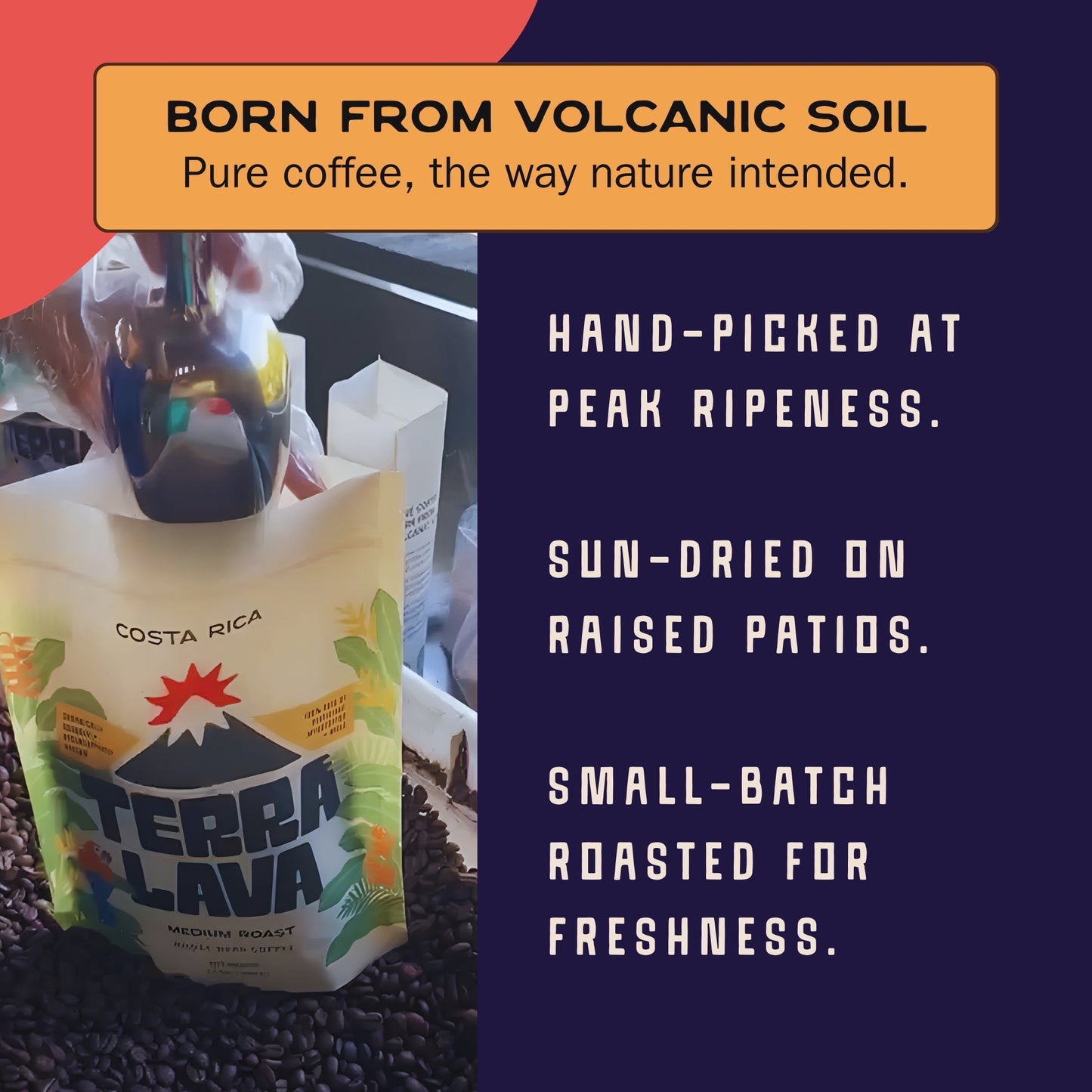 Terra Lava Medium Roast