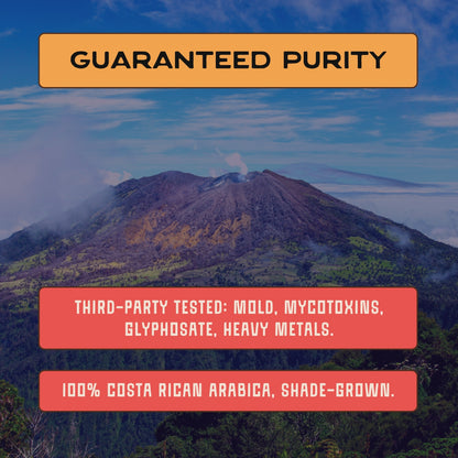 Terra Lava Medium Roast