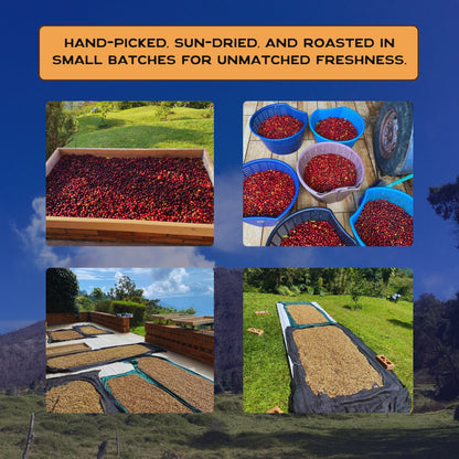 Terra Lava Medium Roast