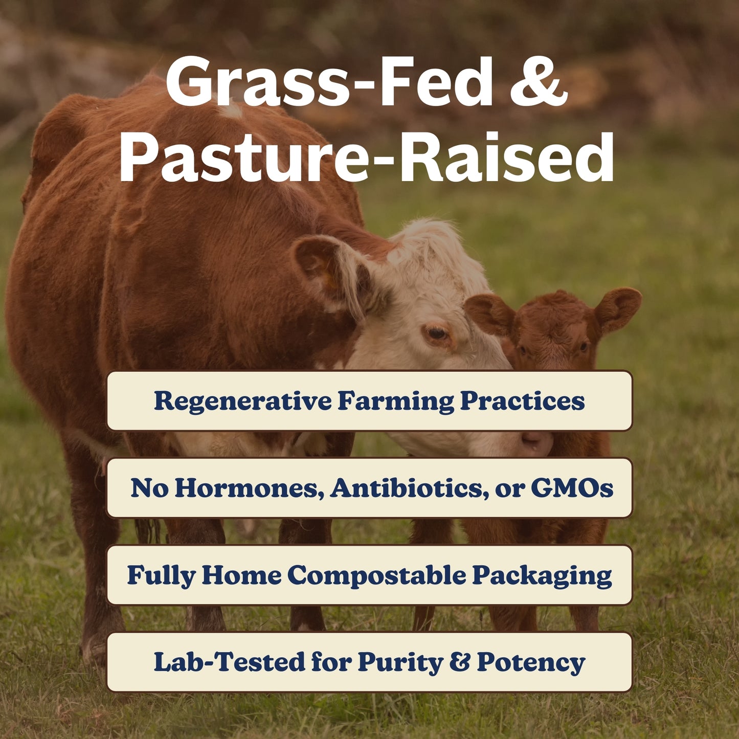 MK Supplements Collagen & Colostrum Grass-Fed and Pasture-Raised