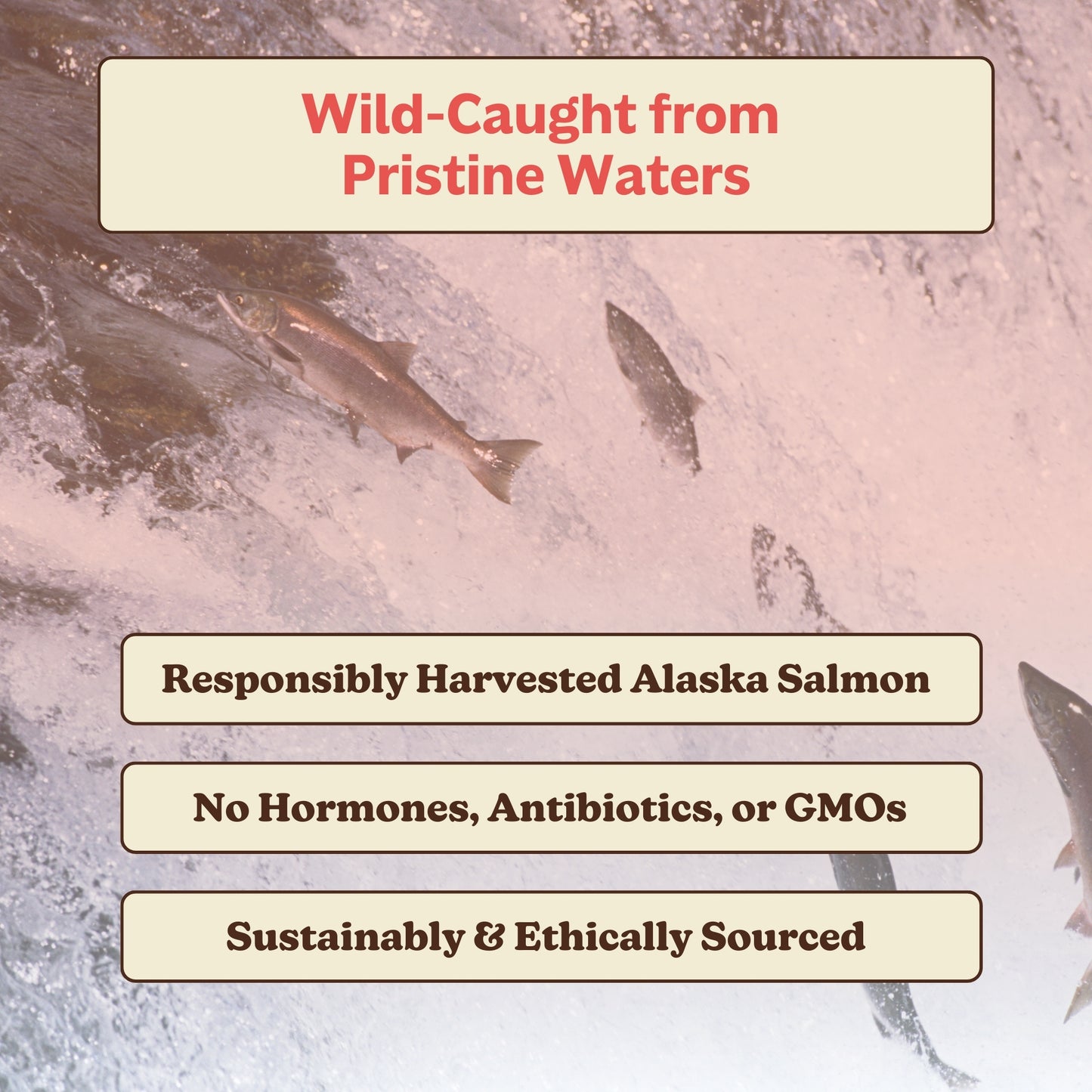 Wild Alaskan Salmon Oil