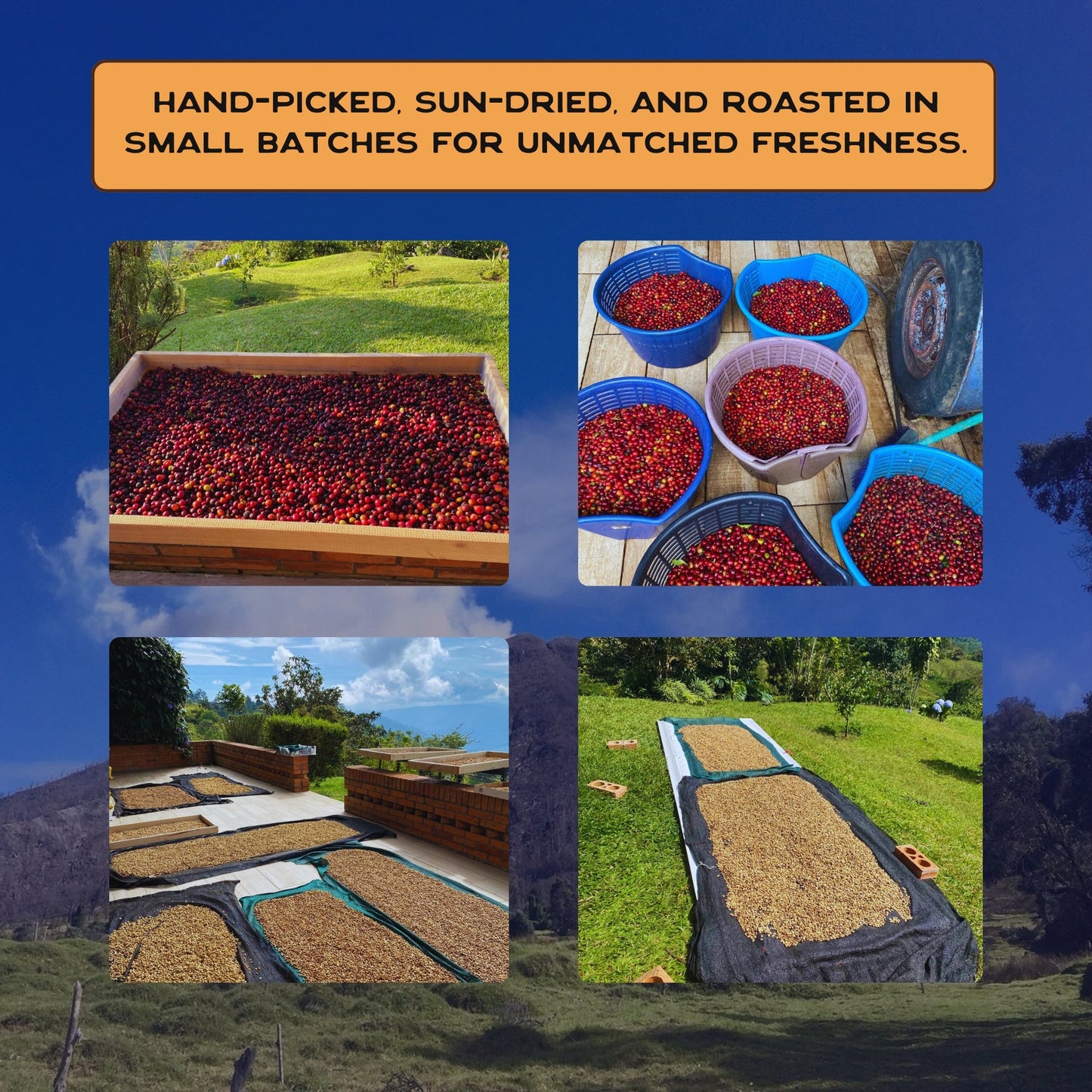 Terra Lava Dark Roast