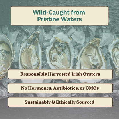 Oyster Extract