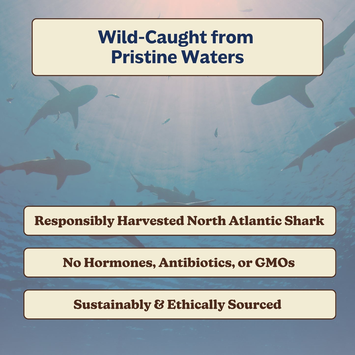 Deep Defense (Shark Liver Oil)